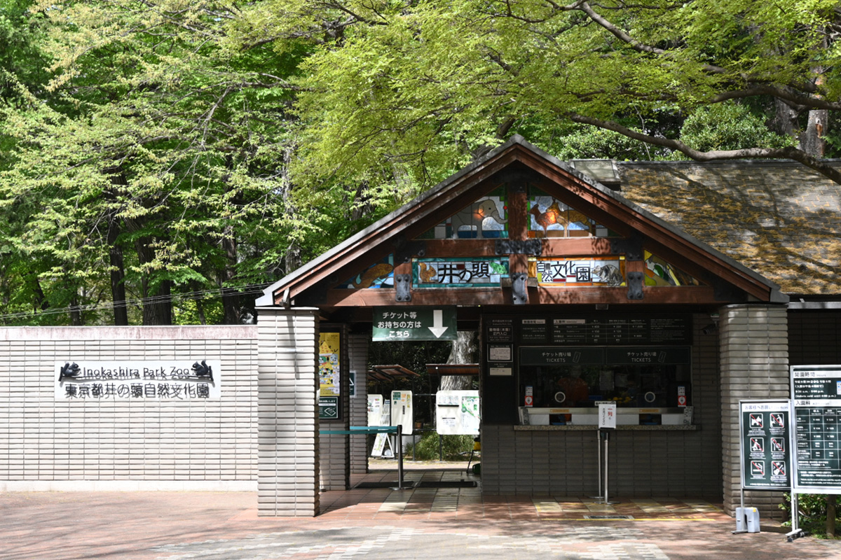 井の頭自然文化園のおしごと大調査ツアー