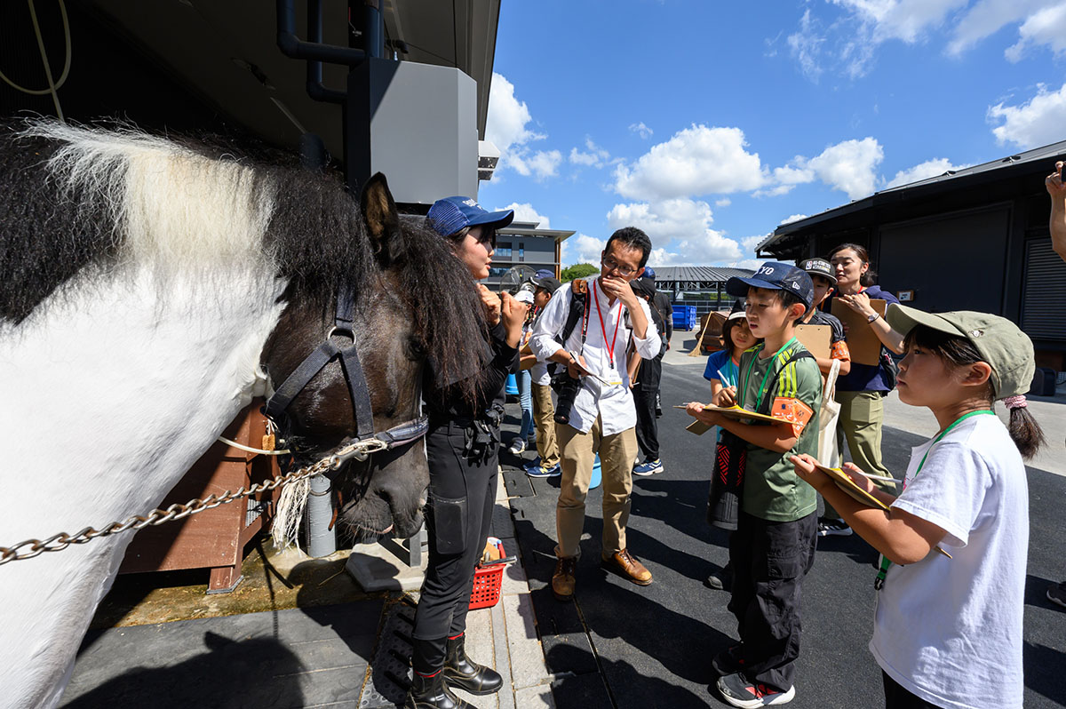 馬のお仕事体験ツアー