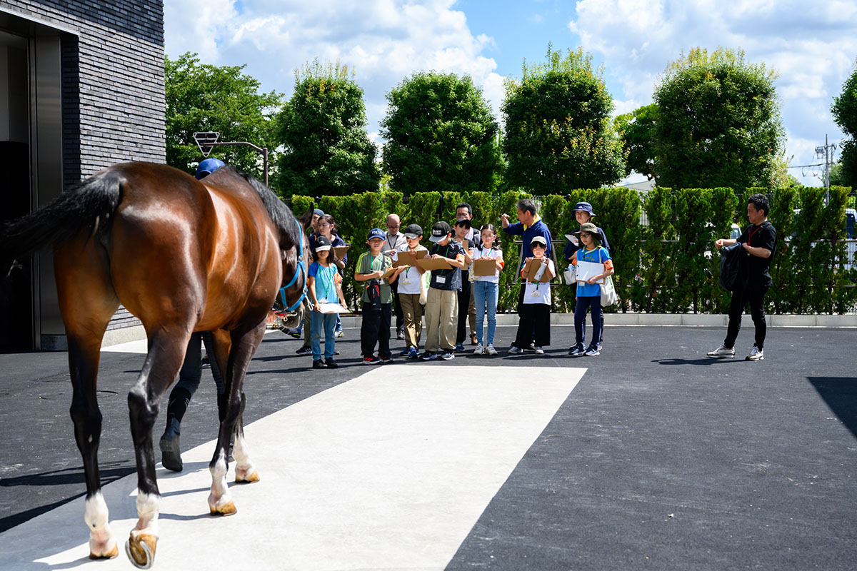 イベントレポート 写真