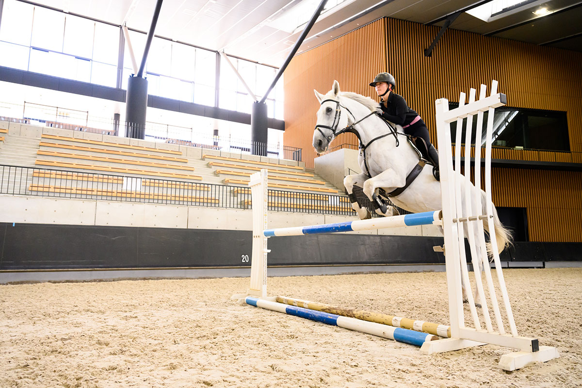 イベントレポート 写真