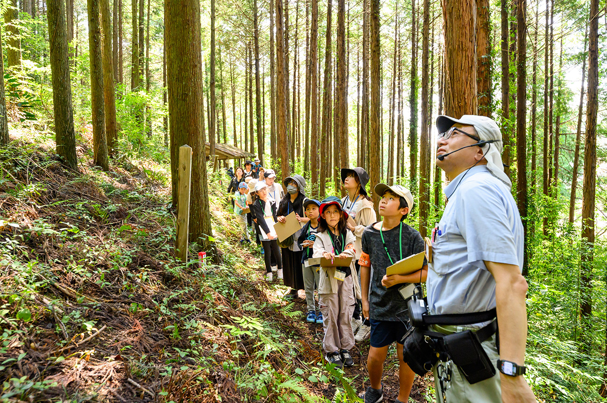 東京の森を探るツアー